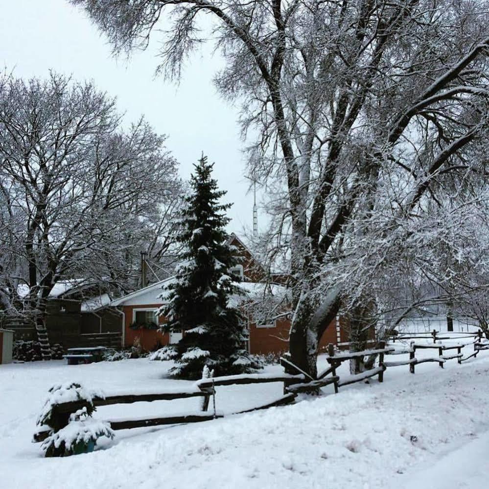 Emily'S Place B&B Creemore Екстер'єр фото
